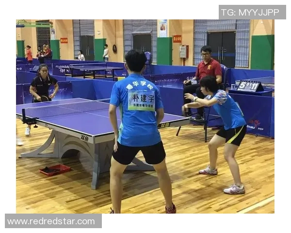 广州乒乓球队比赛经验分享与发展历程探讨聚焦乒乓球运动的魅力与挑战